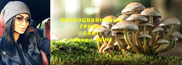 mdpv Беломорск