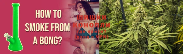 PSILOCYBIN Дмитриев