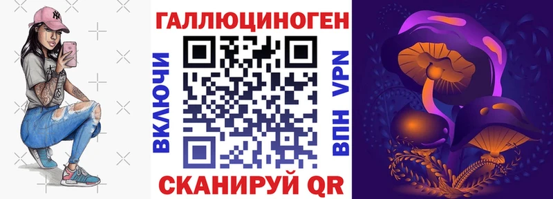 Галлюциногенные грибы MAGIC MUSHROOMS  купить наркотики цена  Борзя 