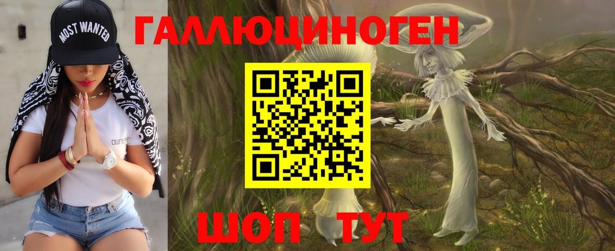 Борзя  Галлюциногенные грибы ЛСД  Вход с VPN 
