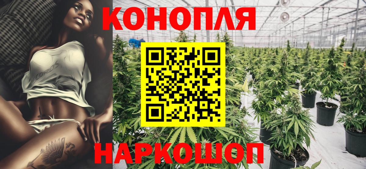 Бошки марихуана ГИДРОПОН Борзя